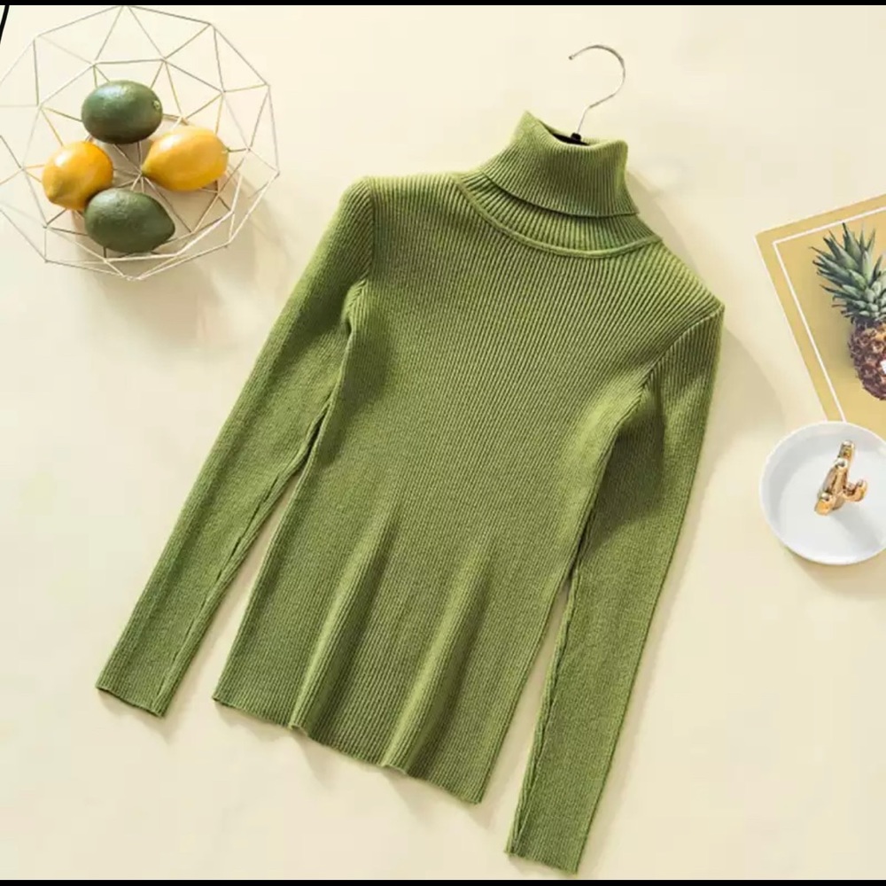 Long sleeve turtle neck